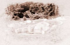 身体有残疾 多因先人坟墓风水不好