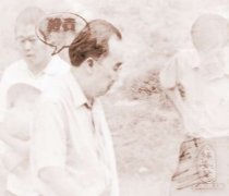 看坟墓风水多少钱