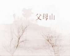 徐向前袓坟墓风水