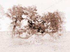 关于墓地风水图解中的“生机”问题