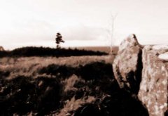 王永庆墓地风水详细分析