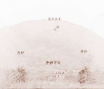 墓地风水蛇的原因