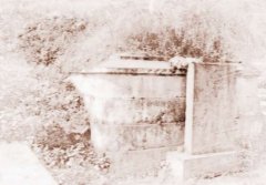 聂荣臻祖坟墓地风水图解