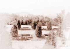 如何选公墓墓地风水