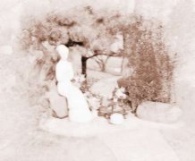 陈晓旭墓地风水