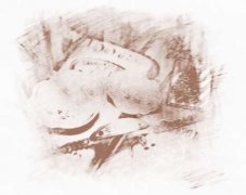 财位风水布局原则