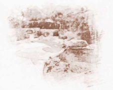 院子种树风水学