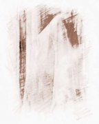 林家宅37号事件真相