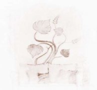 庆香港回归13周年 家居风水助您升职加薪(图文)