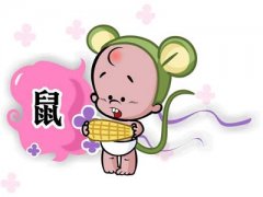 由出生月份看12生肖的最佳婚配对象