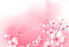 杨清华：2019年12生肖爱情桃花运