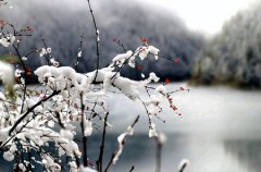 当心！12生肖年末可能会遭遇这些“风波”