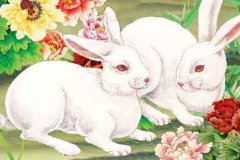 生肖兔2020年运势大全