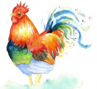 生肖鸡2020年运势大全