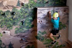 给羊年女宝宝起名取名爸爸姓胡