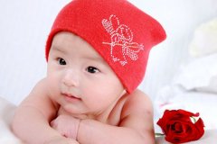 2017年胡姓鸡宝宝起名取名