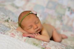 鸡宝宝名字带卓起名取名