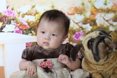 鸡宝宝女宝宝起名取名彤