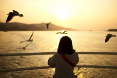 鸡年邢姓宝宝起名取名