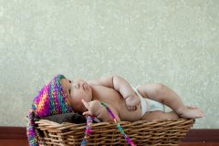 2017六月的鸡宝宝起名取名