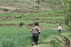 陈姓羊宝宝起名取名大全男