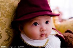 鸡宝宝起名取名可以用博吗