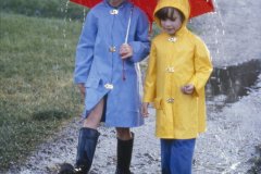 姓郑属鸡女宝宝起名取名