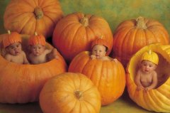 鸡年宝宝姓马起名取名大全