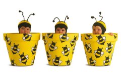 炳字辈男宝宝起名取名