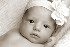 鸡年3月份宝宝起名取名大全