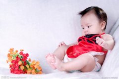 属猪宝宝起名取名大全王梓