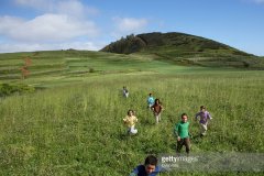 3月的鸡宝宝起名取名大全