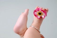 姓杨的属鸡宝宝起名取名字