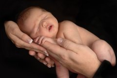 徐氏鸡宝宝女孩起名取名