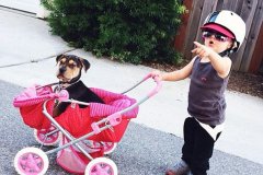 2017年5月宝宝起名取名大全