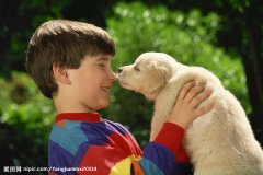 男孩的名字取什么好听,男孩子好听的名字