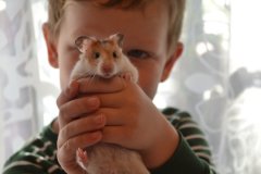 个性游戏名字男英文