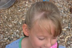 属马的属相婚配表2018