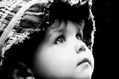 97属牛的属相婚配表女