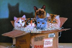 2018年护士节祝福语