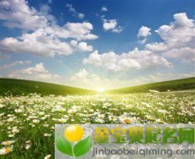 五行属木高雅有诗意的女孩名字