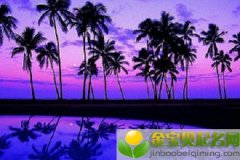 2019出生的向姓男孩起名注意事项，姓向男孩好听名字推荐