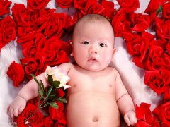 送给你好听的二胎宝宝的名字