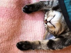 最适合2015新生宝宝的名字整理