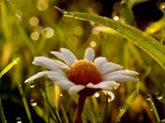 宝宝取名一定要注重的忌讳！