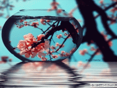  好听的五行属火的名字大全