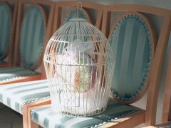 2016年张姓猴宝宝起名大全