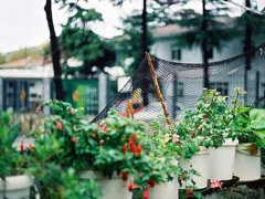 好名字能够启发人的智慧