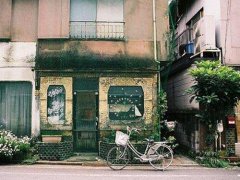 宝宝取名之动态显神