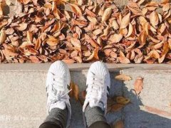 宝宝取名用色彩组合构思